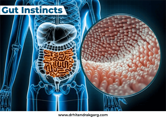 Gut Instincts: Recognizing the Signs Your Body Sends About
                                Digestive Health